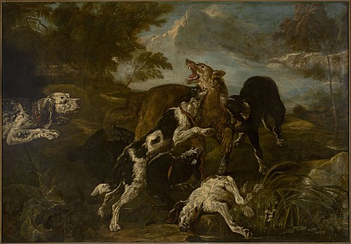 Dogs fighting a wolf, , Jan Fyt
