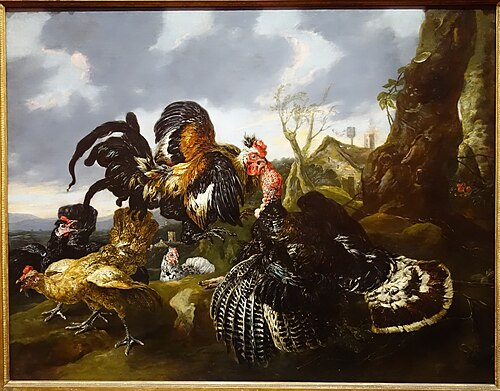 Vechtende haan en kalkoen, 1649, Jan Fyt