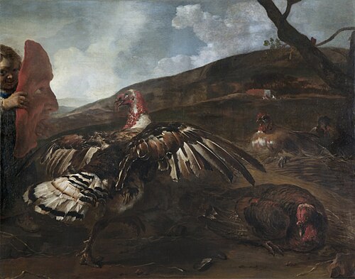 Turkey-Cock and Boy with Red Mask, 1655, Jan Fyt