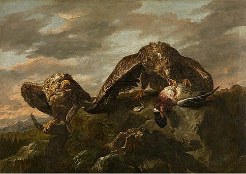 Eagles, 1650, Jan Fyt