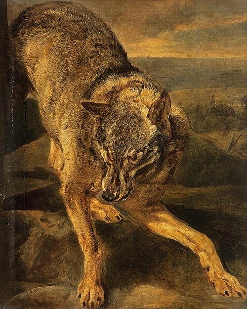A Wolf, 1645, Jan Fyt