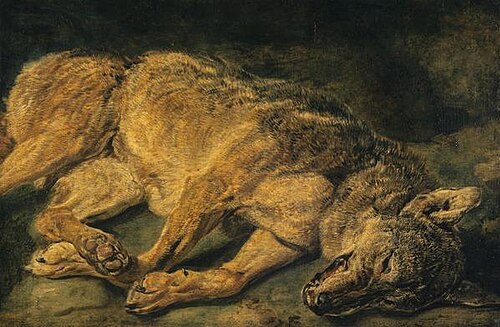 A Dead Wolf, 1651, Jan Fyt