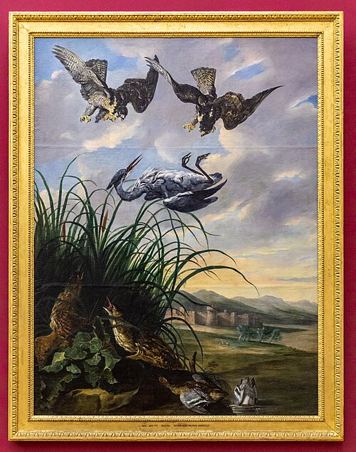 Roofvogels vallen reiger aan, 1636, Jan Fyt