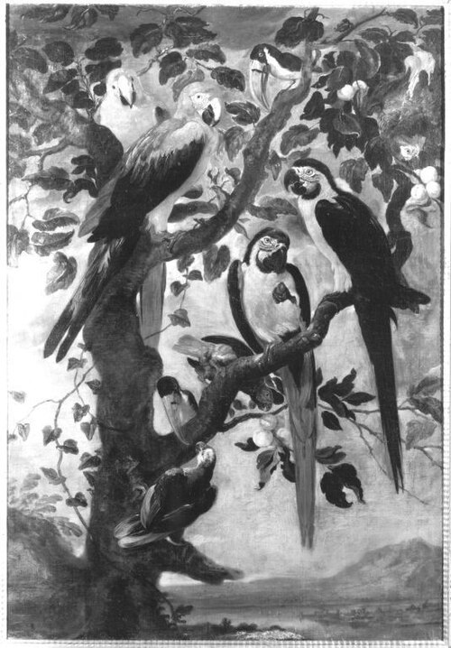 Neun Papageien und Tukane (?), 1636, Jan Fyt