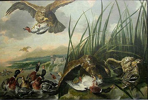 Eagles attacking ducks, 1651, Jan Fyt