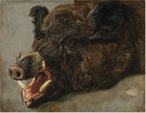 The Head of a Wild Boar, 1650, Jan Fyt