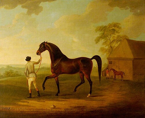 The Racehorse 'Turf' Led by a Groom, 1782, John Nost Sartorius