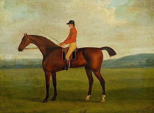 'Dungannon', 1788, John Nost Sartorius