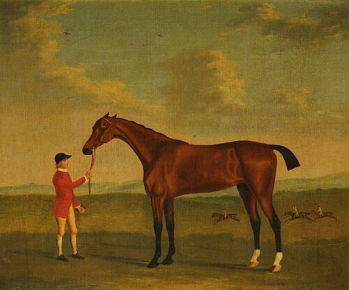 'Salopian' Held by a Groom, and Beating 'Jolly Bacchus' and 'Gay' in the Distance, 1794, John Nost Sartorius