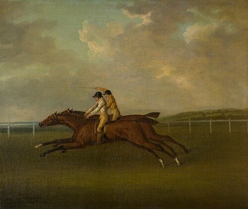 The Gold Cup, Epsom, May 1811, 1811, John Nost Sartorius