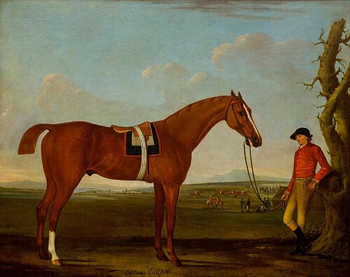 Captain O'Kelly's "Eclipse", 1780, John Nost Sartorius