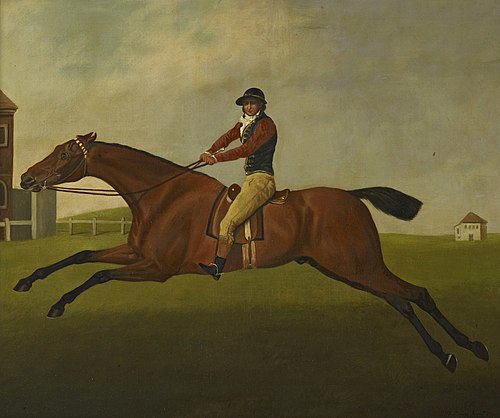 "Baronet" with Samuel Chifney up., 1805, John Nost Sartorius