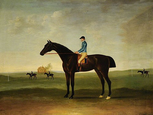 'Trentham' a Bay Racehorse, 1777, John Nost Sartorius