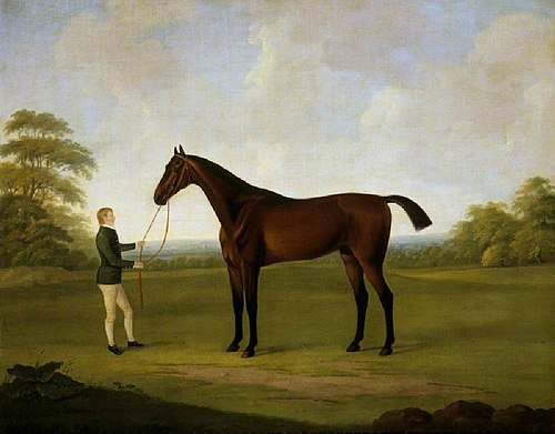 'Saltram', 1783, John Nost Sartorius