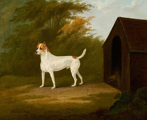 An Old English Terrier, 1814, John Nost Sartorius
