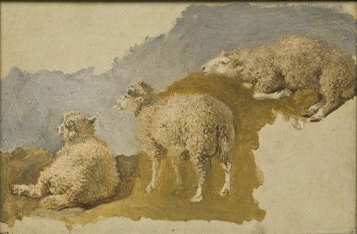 Three Sheep. Study, , Kilian Zoll