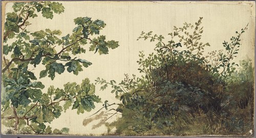 Study of Vegetation, , Kilian Zoll
