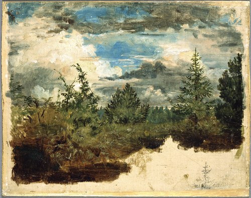 A Wooded Hillside. Study, , Kilian Zoll