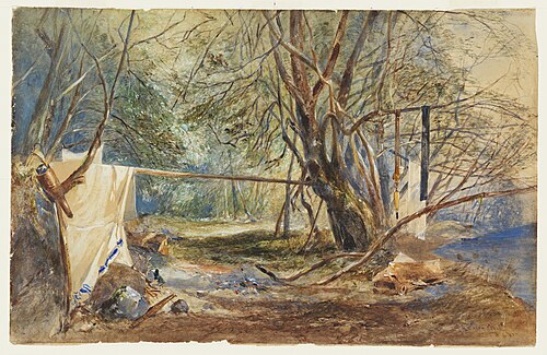 Camping spot, Tasmania, 1845, John Skinner Prout