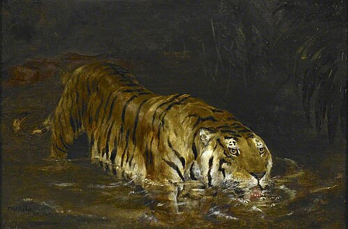 Tiger Drinking at a Jungle Pool, 1880, John Trivett Nettleship
