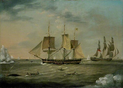 The Whaleship 'Brunswick', 1823, John Ward