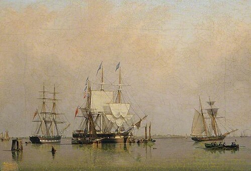 The 'Maese', 'Amazon' and 'Dandie Dinmont', , John Ward