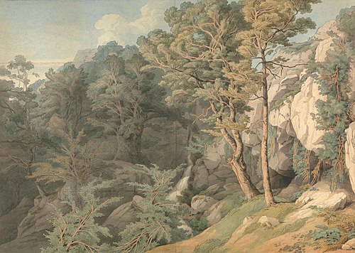 Canonteign, Devon, 1804, John White Abbott