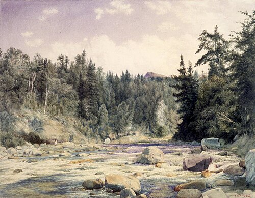 Mountain Stream, 1863, John William Hill