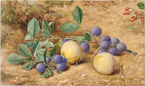 Plums, 1870, John William Hill