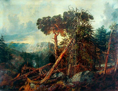 Pine Forest, Aberdeenshire, , John Wright Oakes