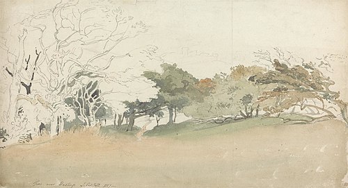 Trees near Hastings, 1807, Joshua Cristall
