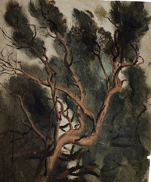 Tree Study, , Joshua Cristall