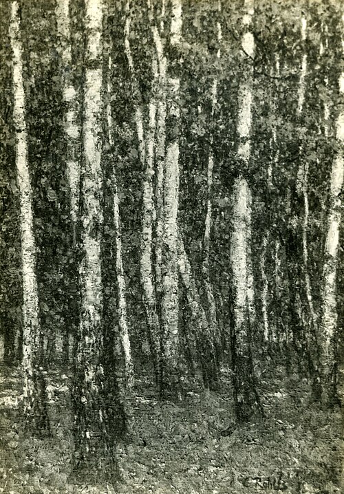 Forest interior (1901), 1901, Christian Rohlfs