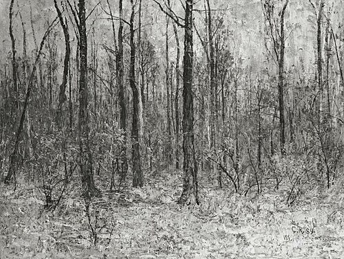Forest interior, 1889, Christian Rohlfs