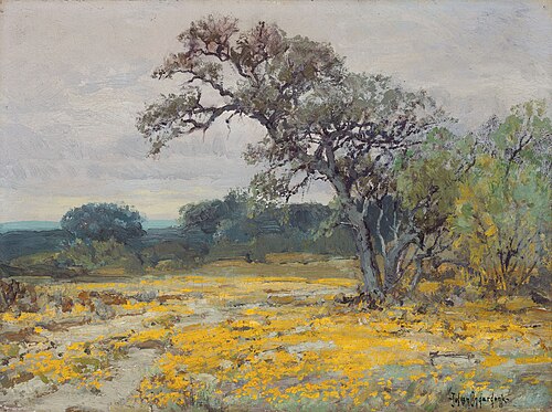 Coreopsis, Near San Antonio, Texas, 1919, Julian Onderdonk