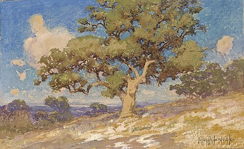 High Desert Oaks, , Julian Onderdonk