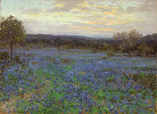 Field of bluebonnets at sunset, 1919, Julian Onderdonk