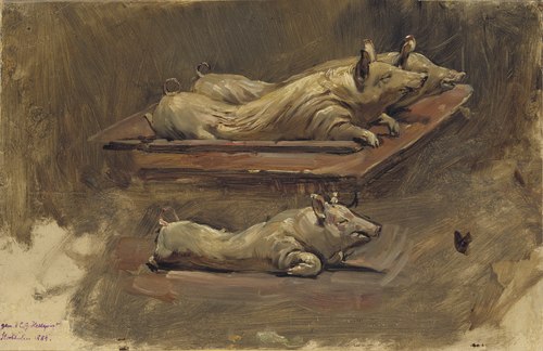 Pigs. Study for During Fasting Time, 1884, Carl Gustaf Hellqvist