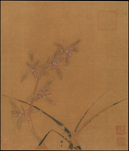 Orchids, 1238, Ma Lin