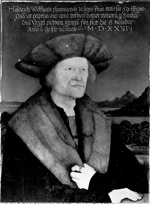 Portrait de l'apothicaire Holderich Wolfardt, 1526, Bernhard Strigel