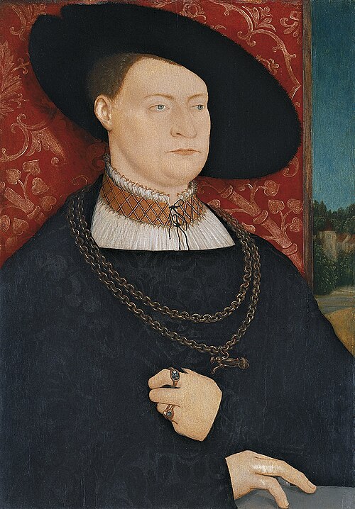 Portrait of a Man, 1528, Bernhard Strigel