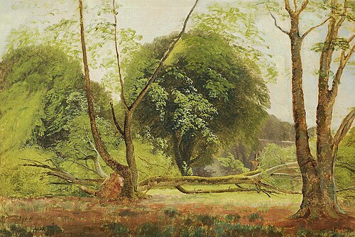 Toppled trees in the woods., 1873, Carl Frederic Aagaard