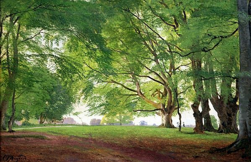 Beech trees in summertime., 1873, Carl Frederic Aagaard