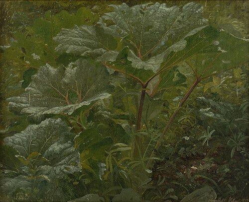 Study of plants., 1855, Carl Frederic Aagaard