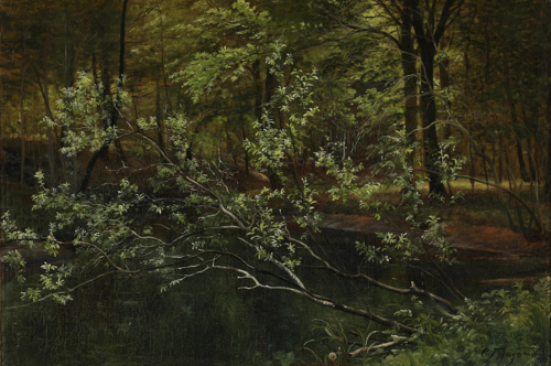 View from a forest lake in the shadows., 1873, Carl Frederic Aagaard