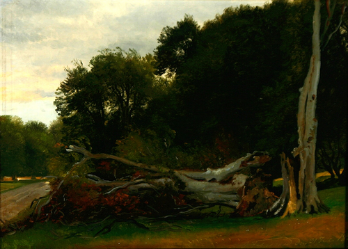 A summer landscape with an overturned tree., 1883, Carl Frederic Aagaard