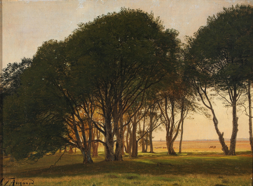 Scenery from Dyrehaven with sunlight., 1873, Carl Frederic Aagaard