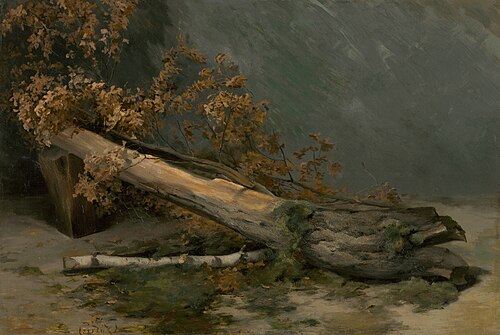 Štúdia suchého stromu, 1894, Lajos Csordák