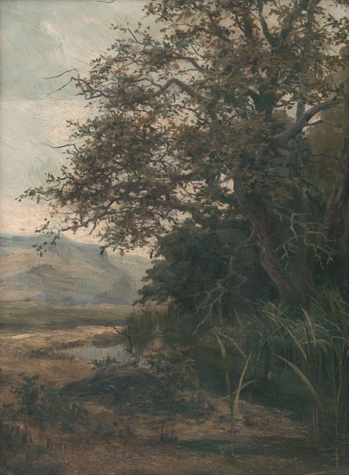 Pri potoku, 1897, Lajos Csordák