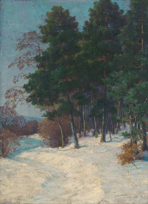 Les v zime, 1903, Lajos Csordák